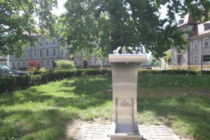 IMG_1053