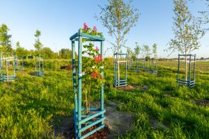 IMG_2876
